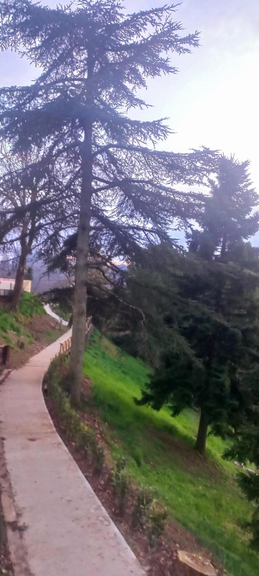 La Casa Del Gallo Radicondoli Kültér fotó